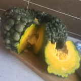 Thai 'Gold Coin' Pumpkin Seeds - High Yield, Disease Resistant, Unique Thai Variety, Sweet Chestnut Flavor, Great Storage