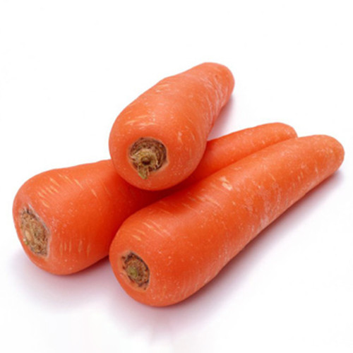 'H1182 F1' Carrot Seeds - High-Yield Hybrid, Reliable Commercial Variety