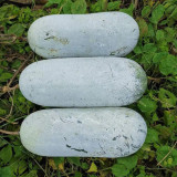 Fenbailong Wax Gourd Seeds - Early-Maturing, High Yield, Strong Disease Resistance, Long Shelf Life, Good Transportability