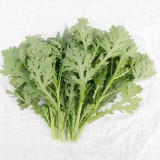 'Emperor's Vegetable' Seeds - Fast-Growing Leafy Green for Cooking & Gardens