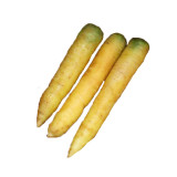 Dutch Yellowstone Carrot Seeds - High Nutritional Value, Ideal for Specialty Markets