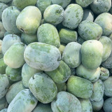 Green Star Wax Gourd Seeds - Early-Maturing, High-Yield, Short Cylindrical Fruit for Commercial Dense Planting