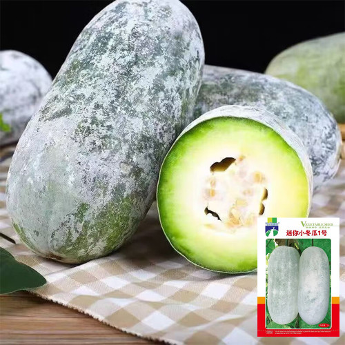 Mini Small Winter Melon No.1 Seeds - Hybrid, High Yield, Early-Maturing, Disease Resistant, Dual-Harvest