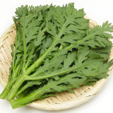 Medium-Leaf Garland Chrysanthemum Seeds - Fast Growing, Cold Tolerant Leafy Green