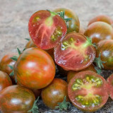 'Mini Shadow Stripe' Tomato Seeds - Edible Bicolor Fruit, Best Tasting Dwarf Plant, Easy Grow