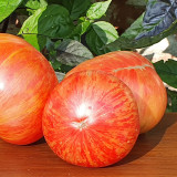 'Vintage Wine' Tomato Seeds - A Fruit-Flavored Tomato Perfect for Gourmet Salads