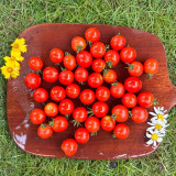 Minusinsk Red Cherry Tomato Seeds - Heirloom Variety, Early Maturing & High-Yielding, Summer-Tolerant