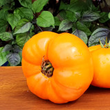 'Peaches and Cream' Tomato Seeds - Heirloom, Low-Acid, Bright Orange Beefsteak Fruits