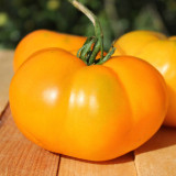 'Peaches and Cream' Tomato Seeds - Heirloom, Low-Acid, Bright Orange Beefsteak Fruits