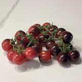 'Fairy Tale Sparkle' Tomato Seeds - Deep Black Red Exterior with Sweet Juicy Flavor for Garden