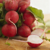 Akahimaru Radish Seeds - Smooth Skin, Uniform Shape, Round, Deep Red, Crack Resistant & Non-Hollow