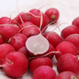 Akahimaru Radish Seeds - Smooth Skin, Uniform Shape, Round, Deep Red, Crack Resistant & Non-Hollow
