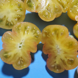 Dean's Chickie Cherry Tomato Seeds- Sweet Flavor with Ultra-Thin Skin for Garden & Fresh Eating