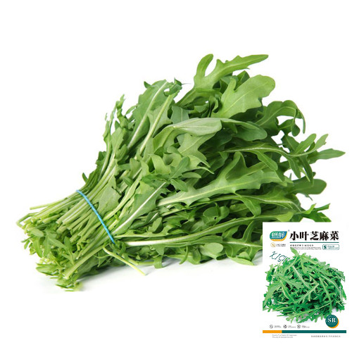 Arugula Seeds - Drought Resistant, Fast-Growing, Tender Leaves for Stir-Fries and Fresh Salads