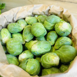 Brussels Sprouts Seeds - High Yield, Sweet Flavor, Nutritious Variety for Home Garden Planting
