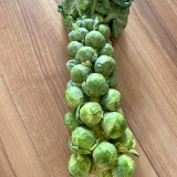Brussels Sprouts Seeds - High Yield, Sweet Flavor, Nutritious Variety for Home Garden Planting