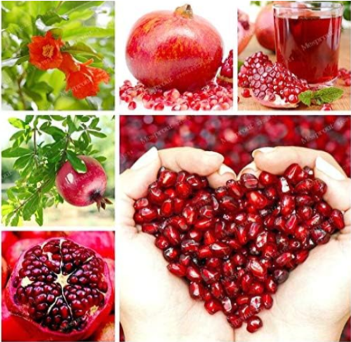Pomegranate Seeds Delicious Fruit