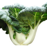 Fresh Sweet Bok Choy Seeds - Uniform Growth, Easy to Grow in Gardens and Containers