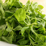 Round-leaf White Amaranth Seeds - Heat Tolerant, Fast Growing, High Yield Vegetable