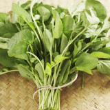 'Alishan' White Amaranth Seeds - Tender Low-Fiber Leaves, High-Yield, Fast-Growing, Heat & Cold Tolerant