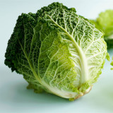 'Dongzhou No.1' Cabbage Seeds - Early-Maturing, High-Quality, High-Nutrition, Fine-Textured Leaves