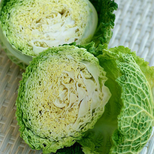 Savoy Cabbage Seeds - Cold Tolerant, Tender Leaves, Excellent Flavor, High Nutrition