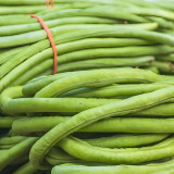 'Jiangshan Xiuli' Cowpea Seeds - Excellent Heat and Cold Tolerance, Superior Market Quality