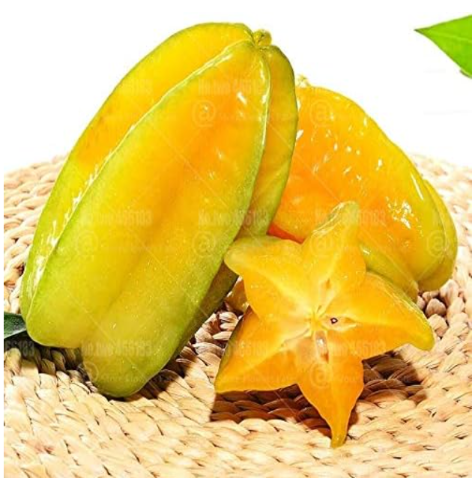 Averrhoa Carambola Seeds Rare Tropical Carambola Fruit