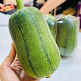 Apple Luffa Seeds - Short Cylindrical Shape, Thick Flesh, High Yield, Fast Growing, Easy to Grow