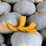 Silver Chestnut Pumpkin Seeds - Gourmet Quality, Disease Resistant, High Yield, Easy to Grow, Reliable Variety