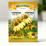 Echinacea purpurea 'Mellow Yellows' – Premium Yellow Coneflower Seeds, Hardy Perennial, Pollinator-Friendly Garden Flower