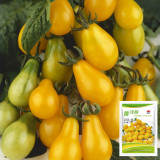 Yellow Pear Cherry Tomato Seeds - High Yield, Disease Resistant, Indeterminate, Sweet Fruits for Garden Planting
