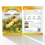 Echinacea purpurea 'Mellow Yellows' – Premium Yellow Coneflower Seeds, Hardy Perennial, Pollinator-Friendly Garden Flower