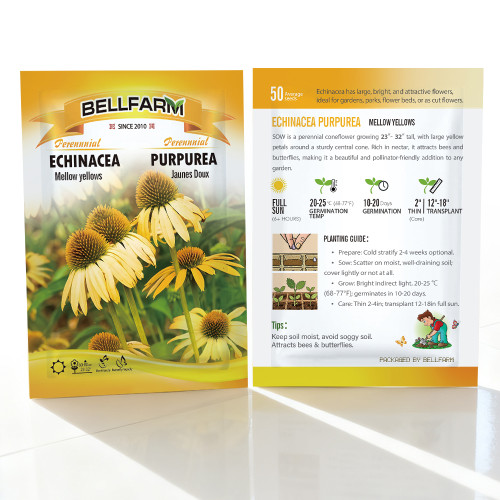 Echinacea purpurea 'Mellow Yellows' – Premium Yellow Coneflower Seeds, Hardy Perennial, Pollinator-Friendly Garden Flower