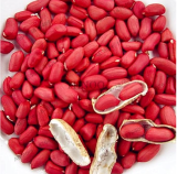 Red Peanuts Seeds Garden Organic Plants Peanut