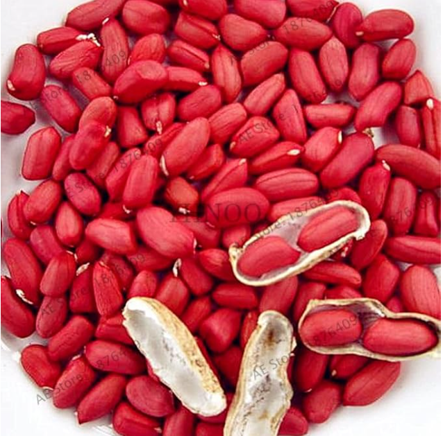 Red Peanuts Seeds Garden Organic Plants Peanut