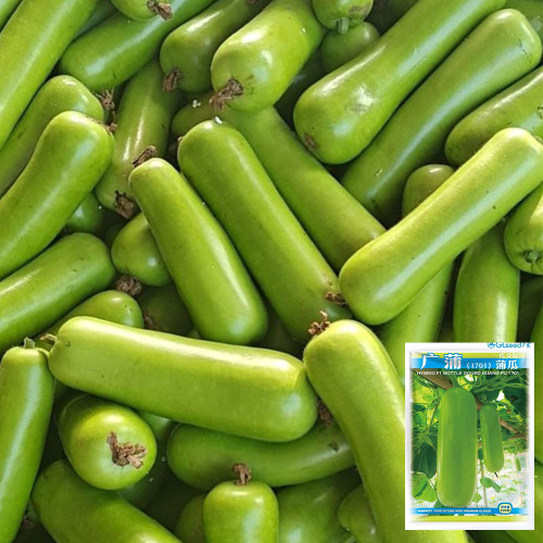 Guangpu 1701 Bottle Gourd Seeds - Hybrid Variety, Early-Maturing, High Yield, Long Harvest Period