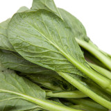 Jiamei Komatsuna Seeds - Produces crisp, fiber-free greens, perfect for fresh salads and cooking
