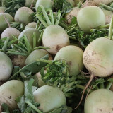 'Xinlimei' Red Heart Radish Seeds - Hybrid, High Yield, Sweet Crisp Flesh, Disease Resistant
