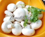 Mushrooms Seeds Vegetable Plants Rare Pleurotus Mushroom