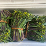 Curly-Leaf Red-Stem Chinese Kale Seeds - Sweet Flavor, Ornamental Appeal, Ideal for Home Gardens