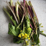 Curly-Leaf Red-Stem Chinese Kale Seeds - Sweet Flavor, Ornamental Appeal, Ideal for Home Gardens