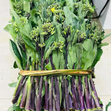 Curly-Leaf Red-Stem Chinese Kale Seeds - Sweet Flavor, Ornamental Appeal, Ideal for Home Gardens