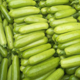 'Cuixiaoqing' Zucchini Seeds - Tender Fruits, Nutrient-Dense Fruits, Heat-Tolerant, Fast-Growing
