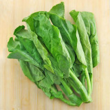 Sweet-Crispy 'Zhouye' Chinese Kale Seeds - High Yield, Fast Growing, Multiple Harvests, Easy to Grow