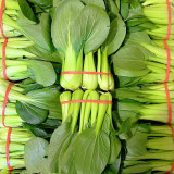 Qingjiang Sweet Pak Choi Seeds - Sweet & Tender Leaves, Crisp Texture, Minimal Fiber