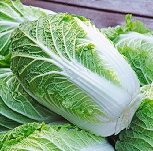 Chinese Cabbage Vegetable Seed Natural Organic Vegetable Plant Easy to Grow Organic