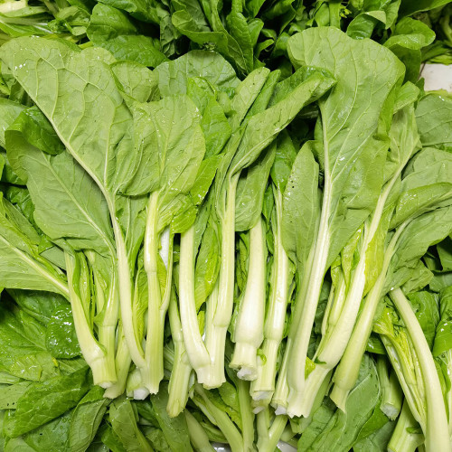 Jiemei Pak Choi Flowering Stem Seeds - High-Yield, Sweet-Crisp, and Highly Adaptable Variety