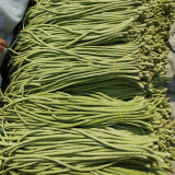Jiemei No.6 Long Bean Seeds | Mid-Early Maturing, High Yield, Disease-Resistant, Thick Flesh, Stable Yield