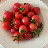 Fen Meina Cherry Tomato Seeds - Early Maturing, High Yield, Crack-Resistant, Excellent Transportability